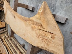 SGK450　看板一枚板　樹齢約450年・杉大枝一枚板　約2000×600～500～650×33ｍｍ