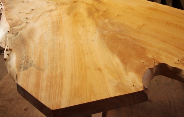 樹齢80年 イチョウの木