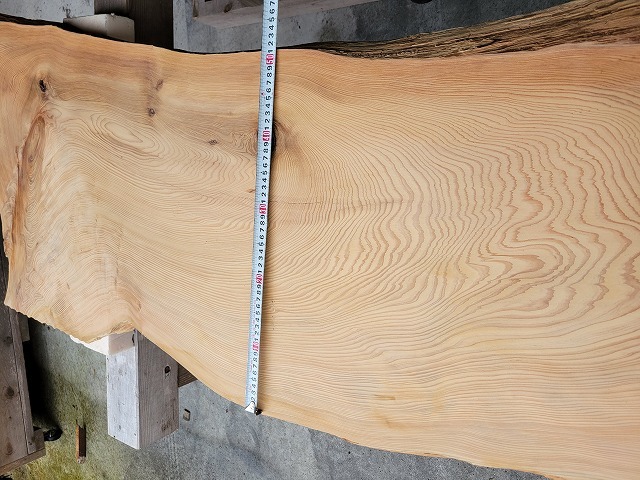 SGK450 看板一枚板 樹齢約450年・杉大枝一枚板 約2000×600～500～650