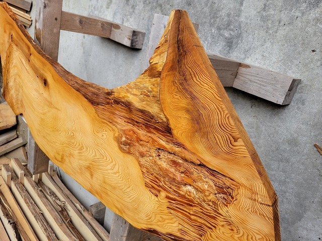 SGK450 看板一枚板 樹齢約450年・杉大枝一枚板 約2000×600～500～650