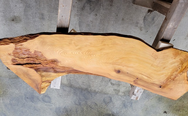 SGK450 看板一枚板 樹齢約450年・杉大枝一枚板 約2000×600～500～650