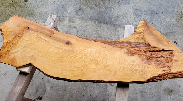 SGK450 看板一枚板 樹齢約450年・杉大枝一枚板 約2000×600～500～650