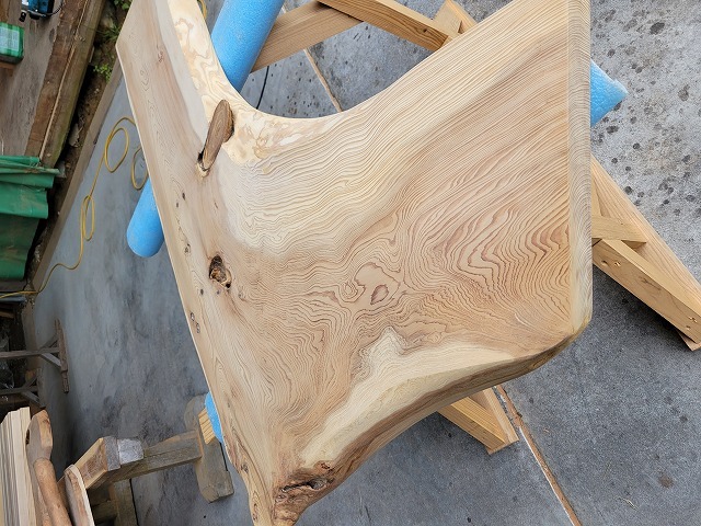 45  杉の流木 45 杉の流木 【公式通販】