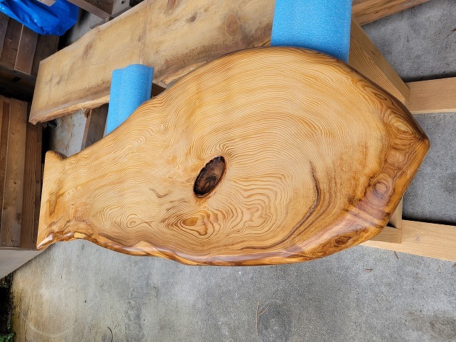 SGK462 樹齢約450年・杉大枝一枚板 約1360×300～470～300×36mm