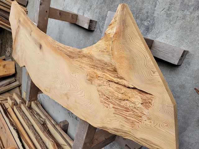 SGK450　看板一枚板　樹齢約450年・杉大枝一枚板　約2000×600～500～650×33ｍｍ