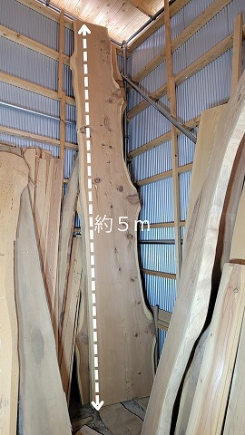 SGL5000　幅広・杉長尺一枚板　約4950×60×500～660～750～800～730ｍｍ　両耳付き　節有　【工場引き渡し】