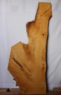 ICH-１　樹齢約80年　イチョウ（銀杏）1枚板　長さ2000ｍｍ×厚さ48ｍｍ×幅250～760ｍｍ