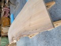 SGK452 樹齢約450年・杉大枝一枚板　約1380×380～500～560×39mm