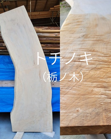木材のことなら津江杉木材流通センター