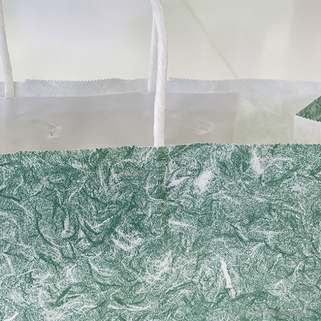 手提げ紙袋　雲竜　緑3才