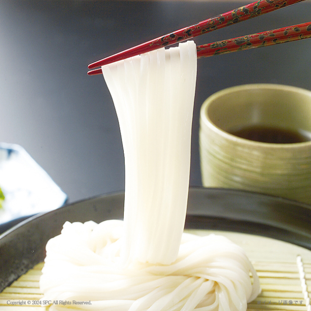 讃岐うどん・日本そば　No.15