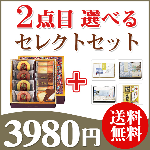 2点目選べる【カラーバウム】＋ セレクトセット 34CB｜お見舞いお返しおすすめ