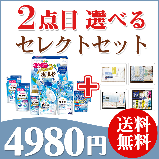 2点目選べる【ボールドギフト】＋ セレクトセット 49SG　※送料無料 （1品?）｜お見舞いお返し人気