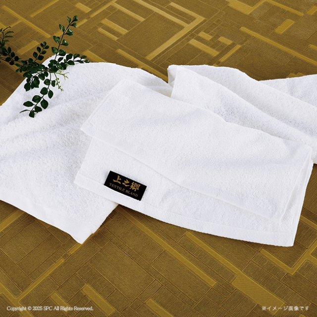 プレミアム高吸水　ホワイトフェイスタオル3P　No.30