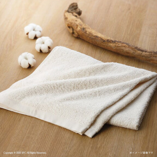 PPQ　プランツパワークォリティ　オーガニックコットン　フェイスタオル2P　No.20