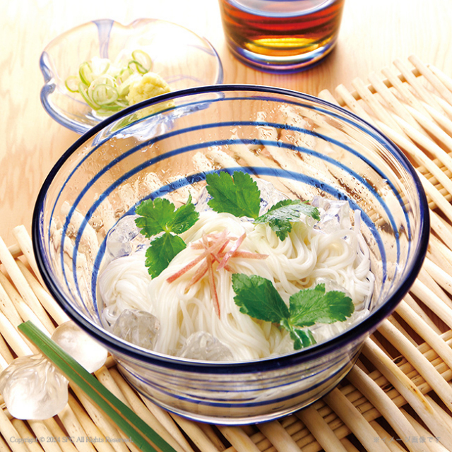 麺匠庵　無塩そうめん　健康元年　No.20