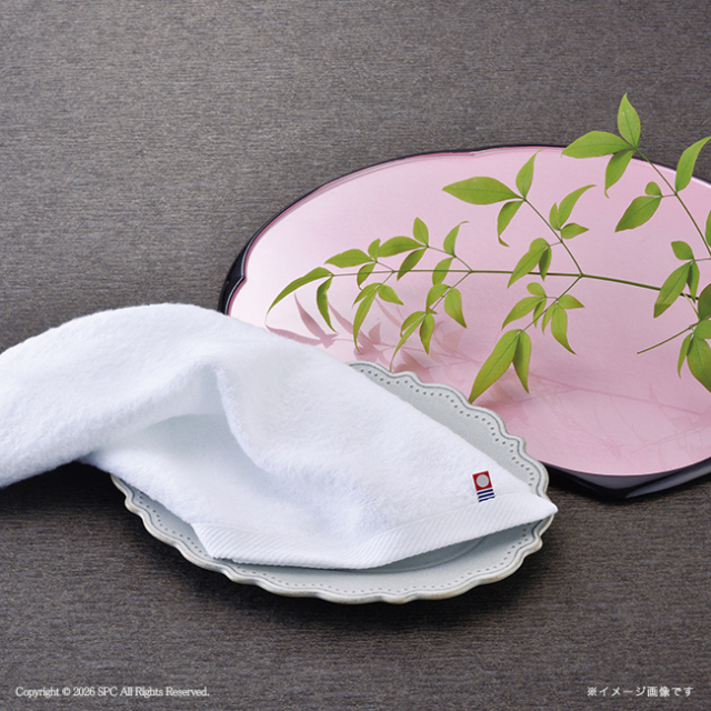 コンビネーションギフト　ベイクドスイーツセレクション＆今治タオルセット　No.100