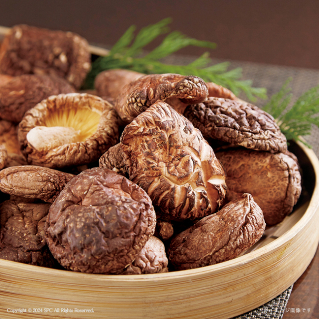 国産香信椎茸　No.10