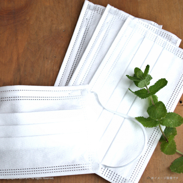 バラエティセット　No.100