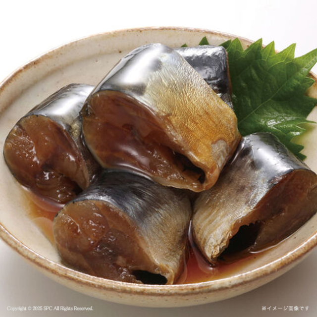 北海道産　おさかな旨煮詰合せ　18種類　2段　No.15