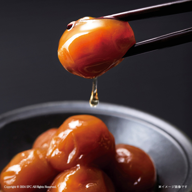梅未来　紀州南高梅5種詰合せ　No.55