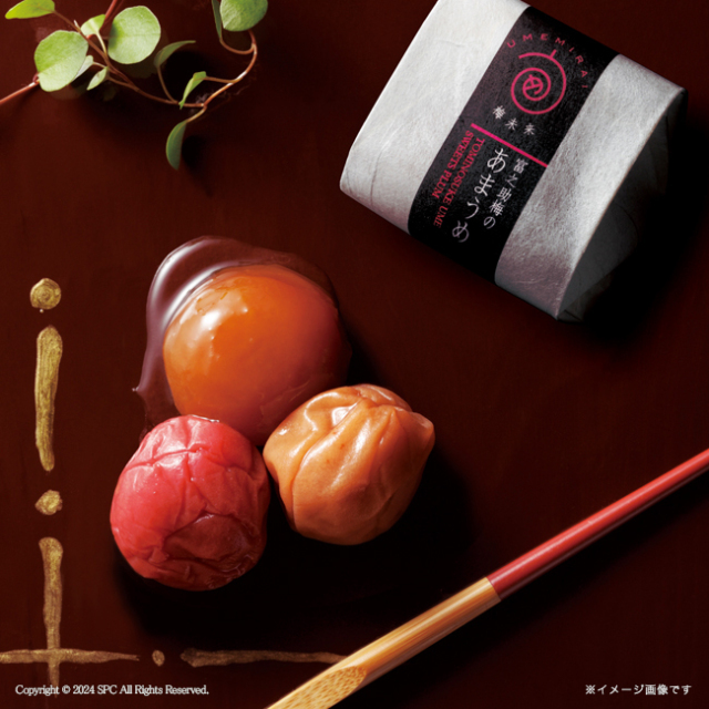 梅未来×千莉菴　「天の梅」紀州南高梅御進物6種詰合せ　No.55