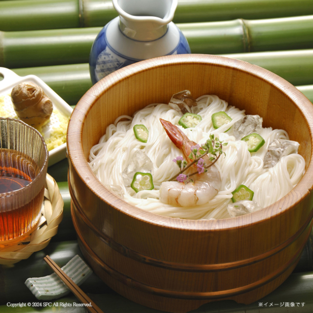 島原手延そうめん　No.10