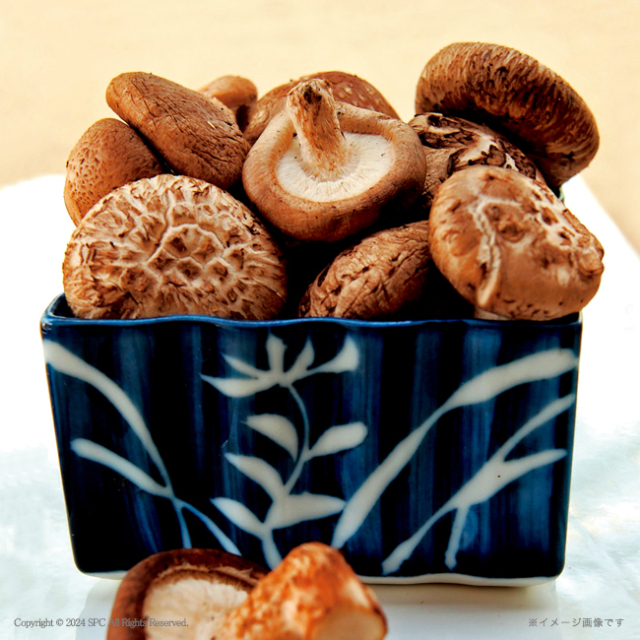 国内産　原木香信椎茸　No.10