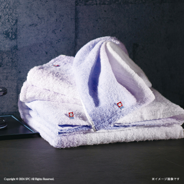 nishikawa　今治ウォッシュタオル2P　No.15