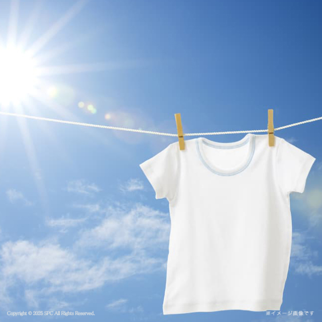 ギフト工房　アリエール＆キッチンセット　No.80