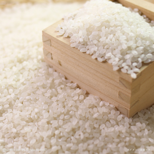 初代田蔵　五つ星マイスター厳選・新潟県産こしひかり味わいギフト　No.50