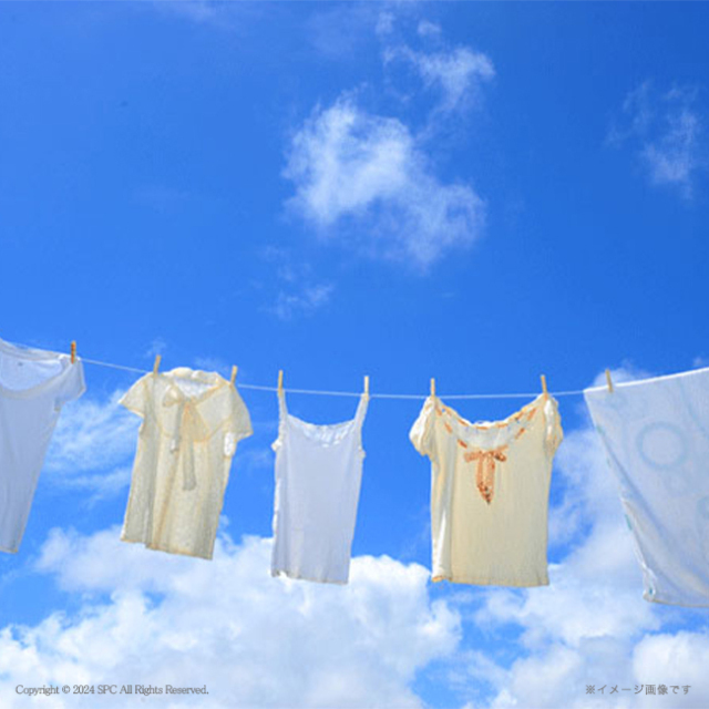 ギフト工房　アリエール抗菌除菌ギフト　No.80