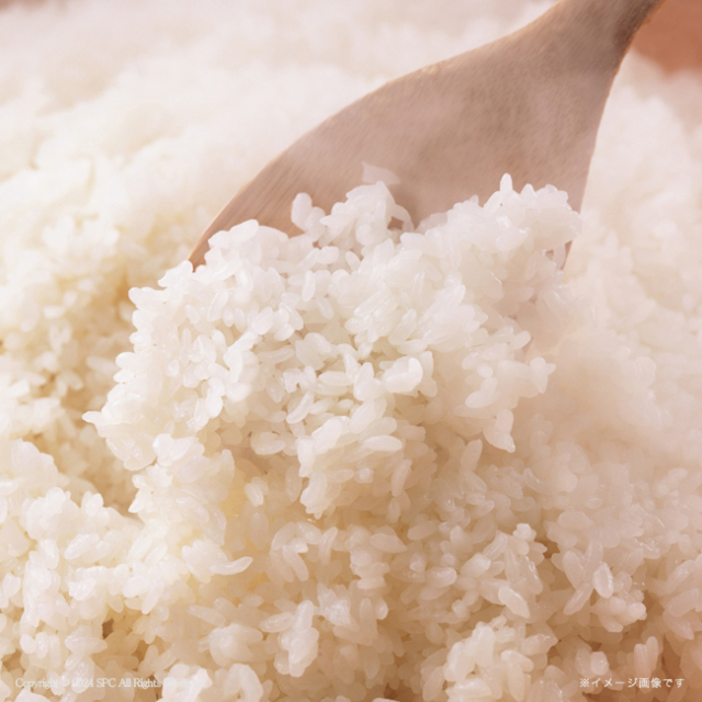 初代　田蔵　新潟の極み特選新潟県産こしひかりギフト　No.55