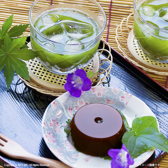 サマーギフトゼリー　No.30