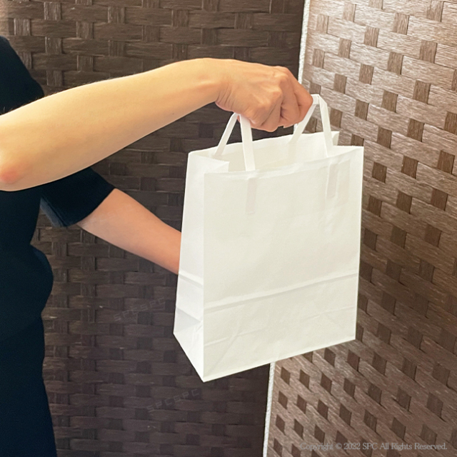 手提げ紙袋　白無地（中）