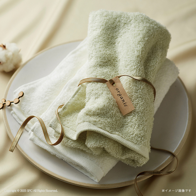 アンシャンテ　オーガニックコットン　フェイス・タオルハンカチ2Pセット　No.25　（アイスグリーン）