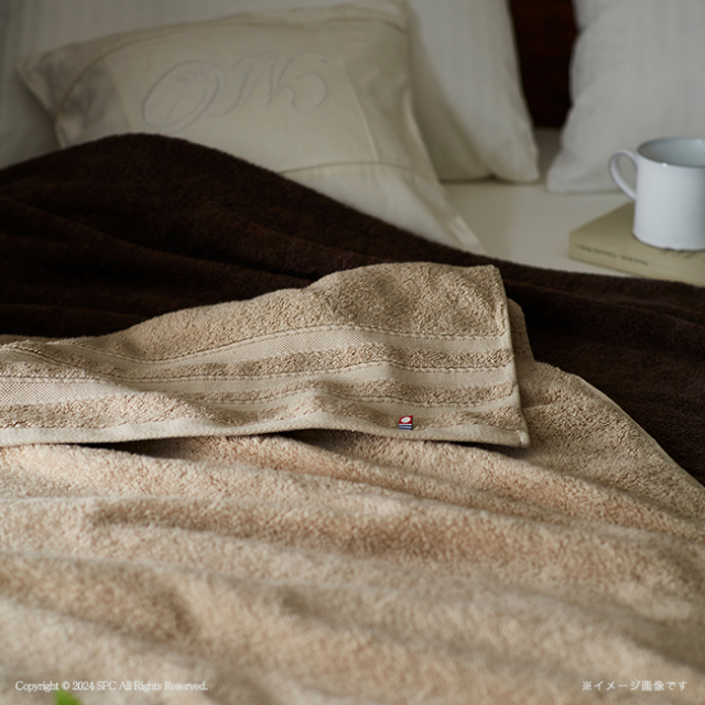 サステナブル　THE　HOTEL　今治　超大判バスタオルケットとバスタオルのセット　No.200