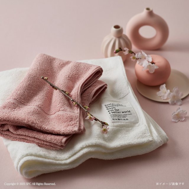 サクラ　オーガニックコットン　フェイス2P・タオルハンカチセット　No.30