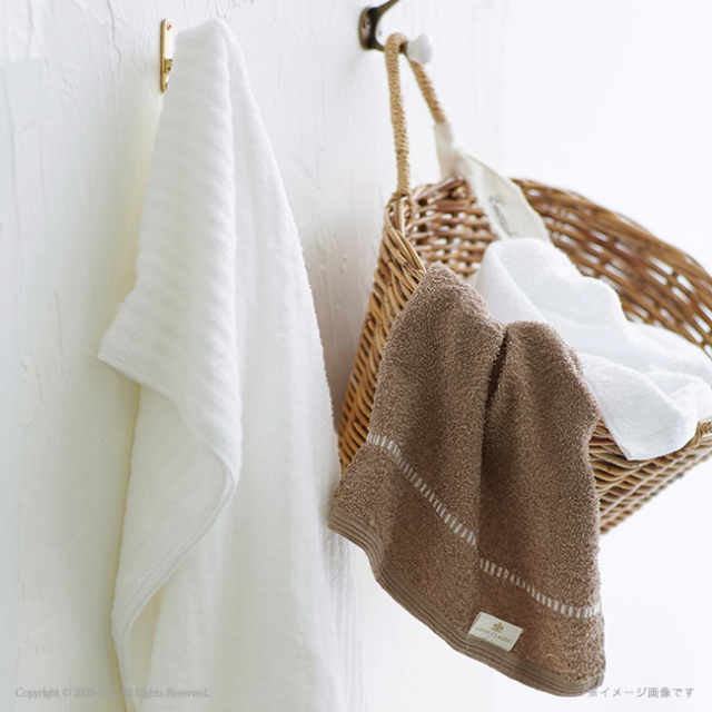 アモンクラシック　-やわらかコットン-　フェイス・タオルハンカチセット　No.10