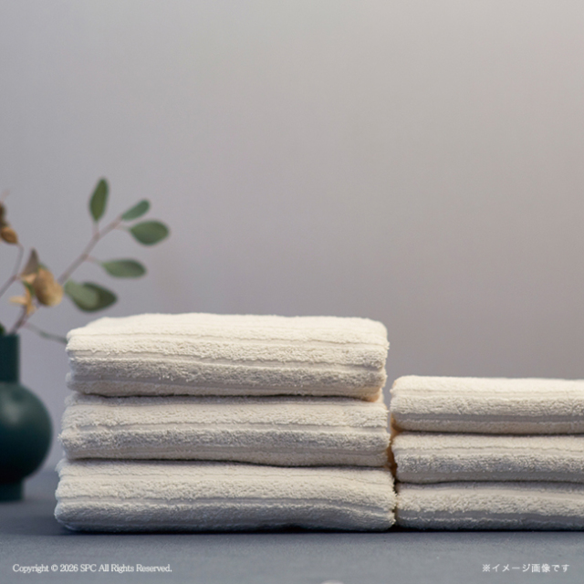 インセプション　泉州　フェイスタオル2Pセット　No.20