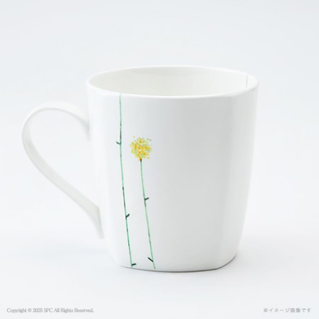 エインズレイ　デイジーチェーン　ペアマグ　No.40