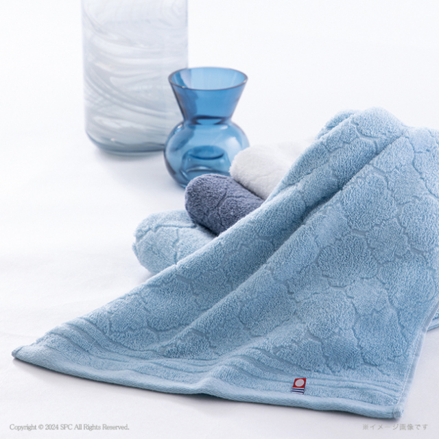 cocohibi　クイックドライコットンエコ　フェイスタオル2P　No.20