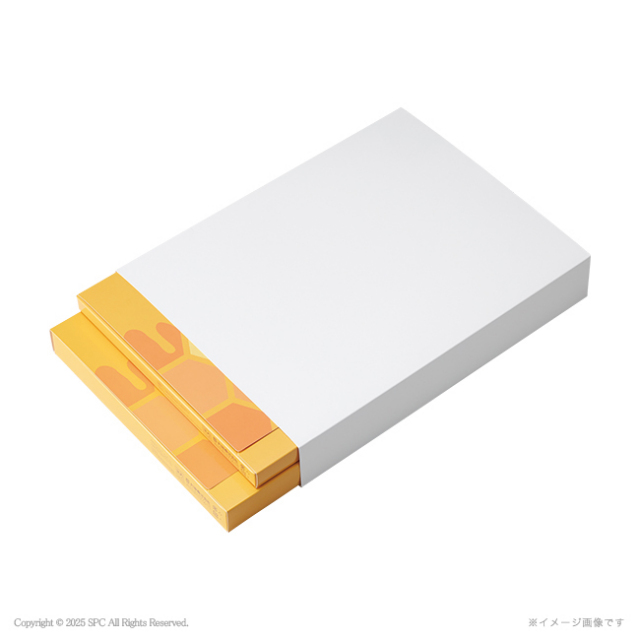 くまのプーさん　ハニープランタン　フェイス1P・ウォッシュタオル2P　No.28