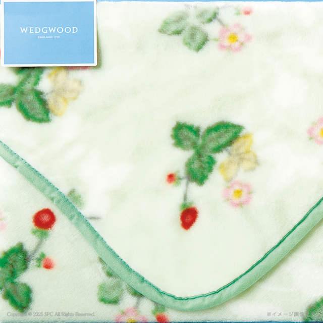 ウェッジウッド　アクリルひざ掛け　No.40
