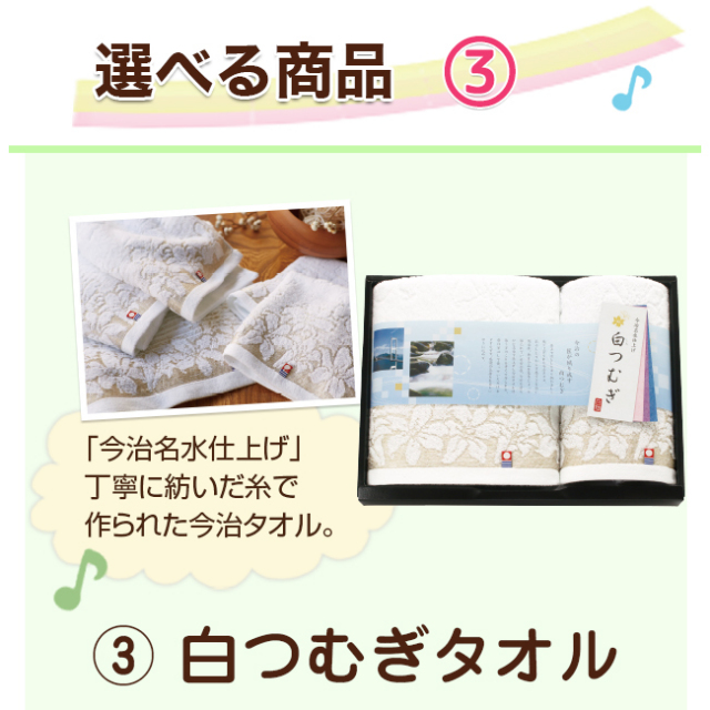 2点目選べる【ボールドギフト】＋ セレクトセット 49SG　※送料無料 （1品?）｜お見舞いお返し人気