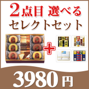 2点目選べる【カラーバウム】＋ セレクトセット 39CB｜快気祝いおすすめ