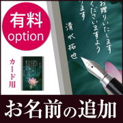 有料オプション
