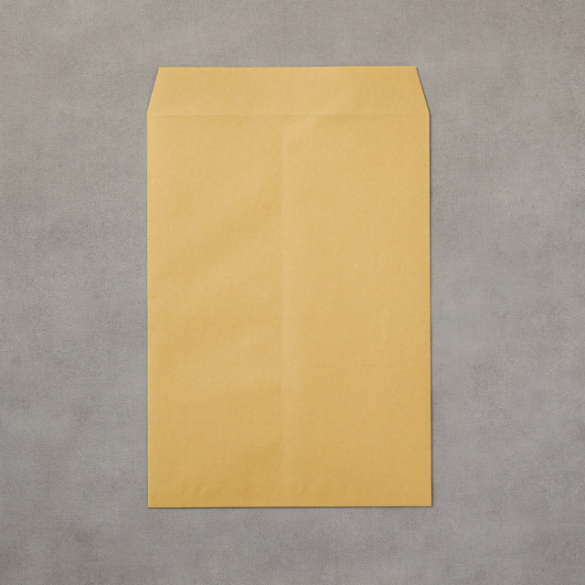 KPゆうびん規格内クラフト封筒（250×340+30+70）玉なし/100枚(HJP120)