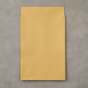ゆうびん規格内/クラフト封筒（250×340mm）玉なし/100枚(HJP120)
