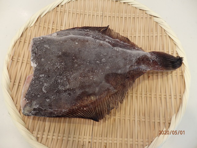 浅羽　子持ちカレイ　5kg (1尾　約450ｇ　煮付けなどに) 売れています！